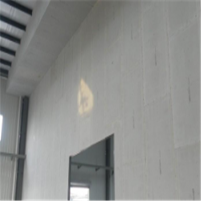 汉寿新型建筑材料掺多种工业废渣的ALC|ACC|FPS模块板材轻质隔墙板